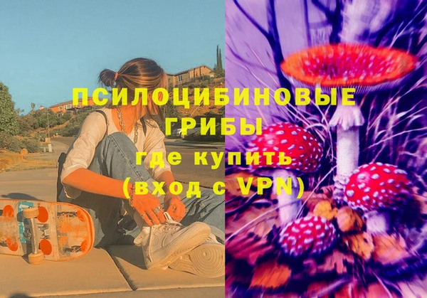шишки Абдулино